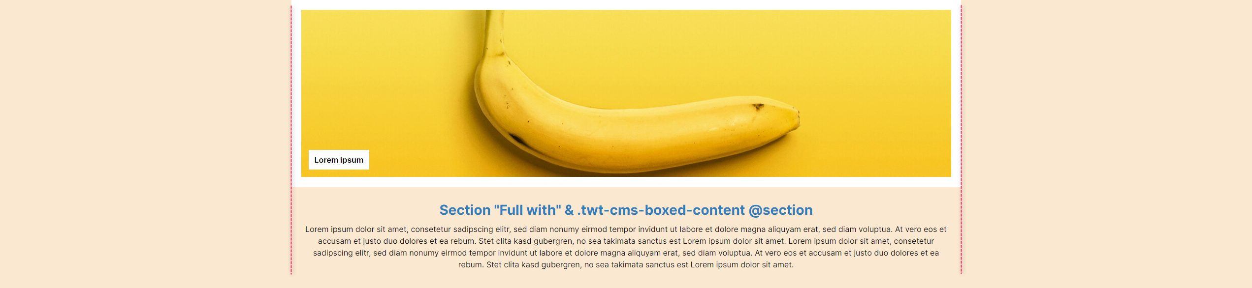 "Full with"-Sektion mit zentrierten CMS-Blöcken